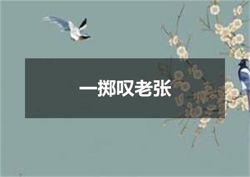 一掷叹老张