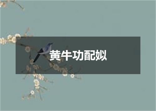 黄牛功配姒