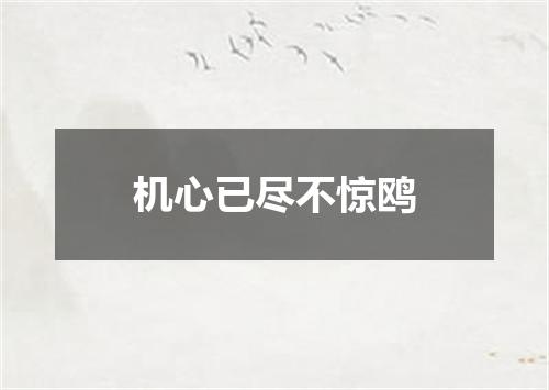 机心已尽不惊鸥