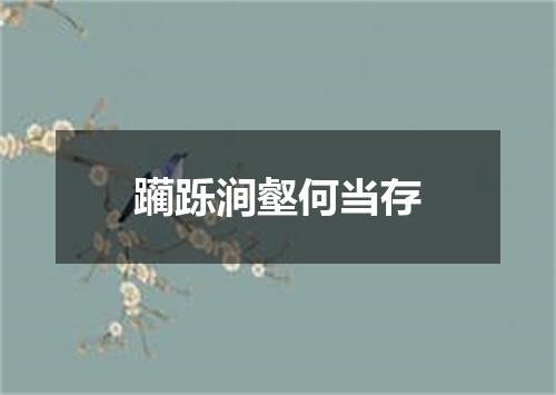 躏跞涧壑何当存