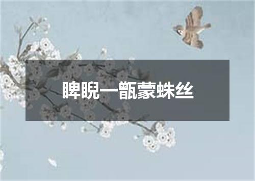 睥睨一甑蒙蛛丝