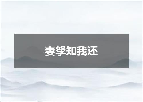 妻孥知我还