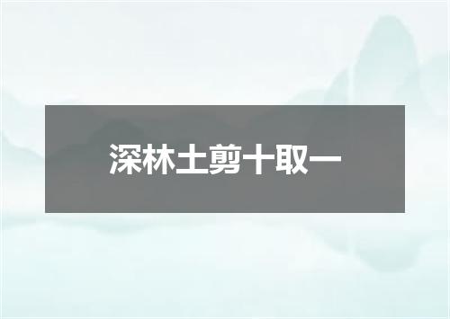 深林土剪十取一