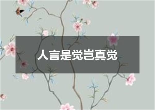 人言是觉岂真觉