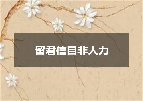 留君信自非人力