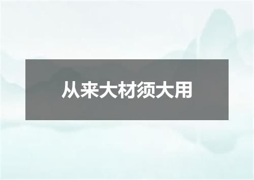 从来大材须大用