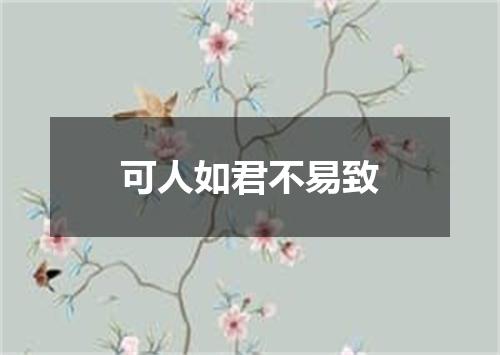 可人如君不易致