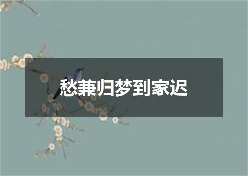 愁兼归梦到家迟