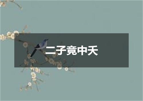 二子竟中夭