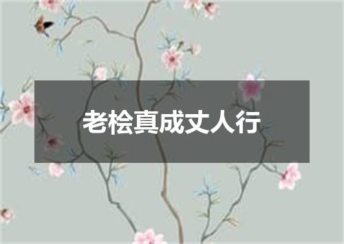 老桧真成丈人行