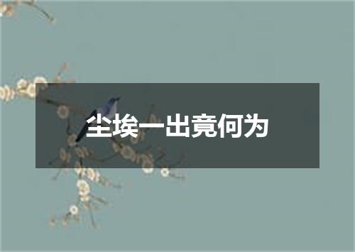 尘埃一出竟何为