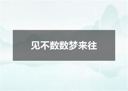 见不数数梦来往