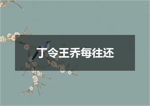 丁令王乔每往还