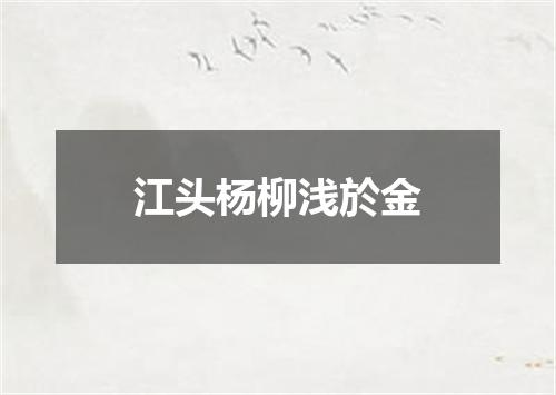江头杨柳浅於金