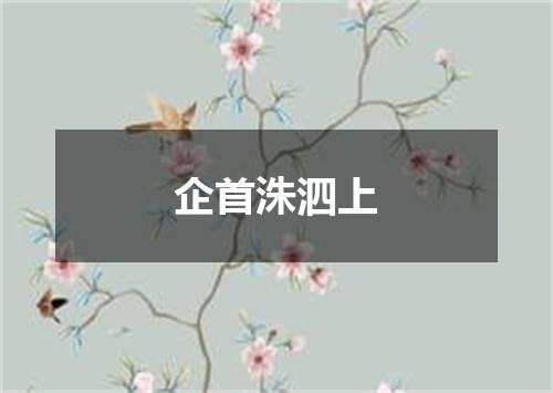 企首洙泗上