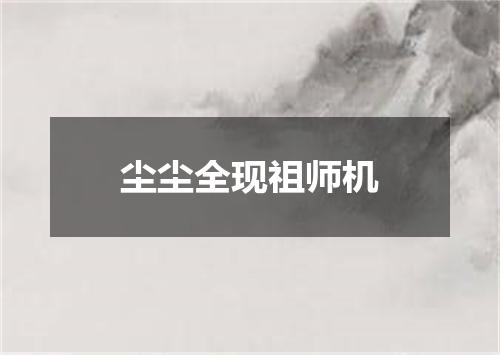 尘尘全现祖师机