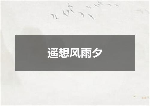 遥想风雨夕