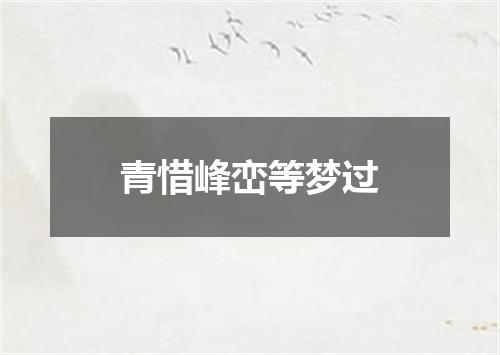 青惜峰峦等梦过