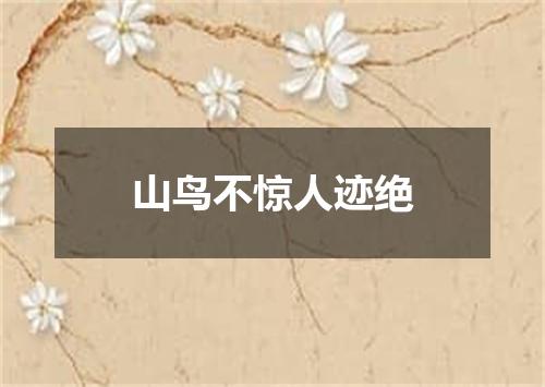 山鸟不惊人迹绝