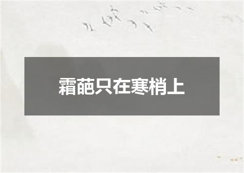 霜葩只在寒梢上