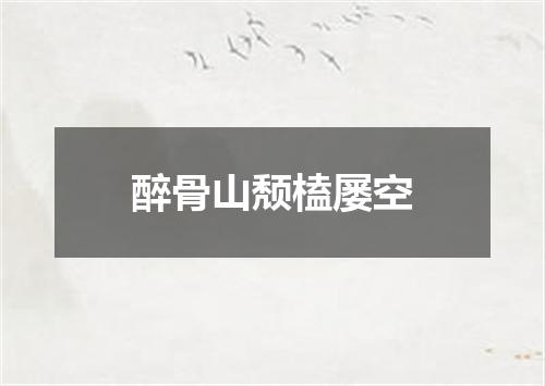 醉骨山颓榼屡空