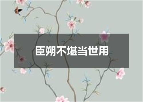 臣朔不堪当世用