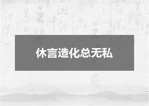 休言造化总无私