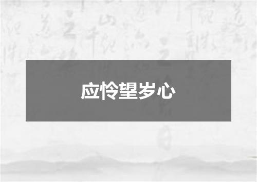 应怜望岁心