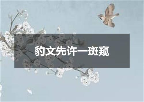 豹文先许一斑窥
