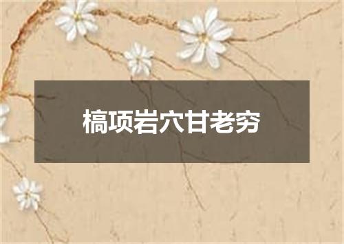 槁项岩穴甘老穷