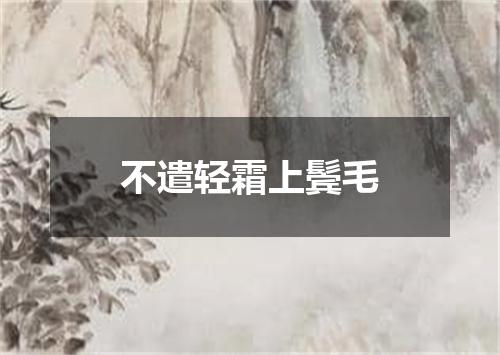 不遣轻霜上鬓毛
