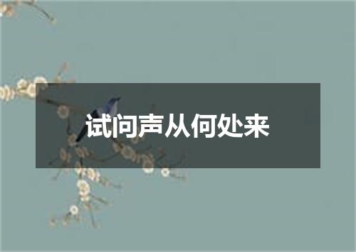 试问声从何处来
