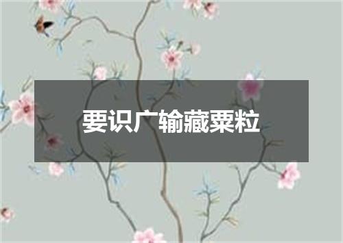 要识广输藏粟粒