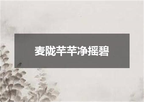 麦陇芊芊净摇碧