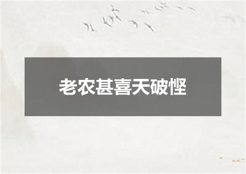 老农甚喜天破悭