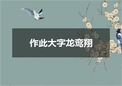 作此大字龙鸾翔