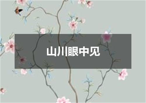 山川眼中见