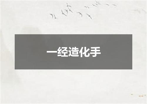 一经造化手