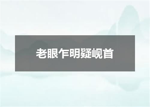 老眼乍明疑岘首