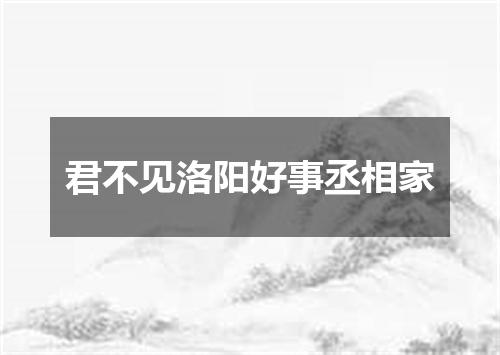君不见洛阳好事丞相家