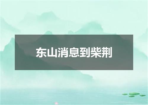 东山消息到柴荆