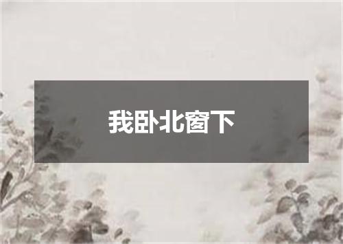 我卧北窗下