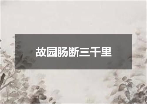 故园肠断三千里