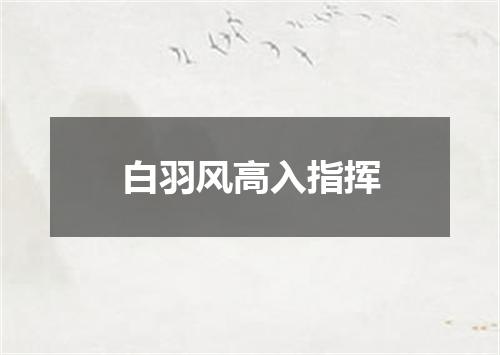 白羽风高入指挥