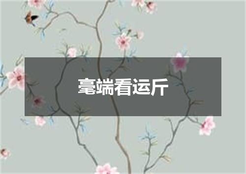 毫端看运斤