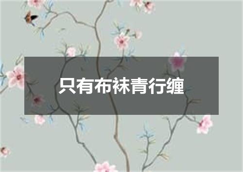 只有布袜青行缠