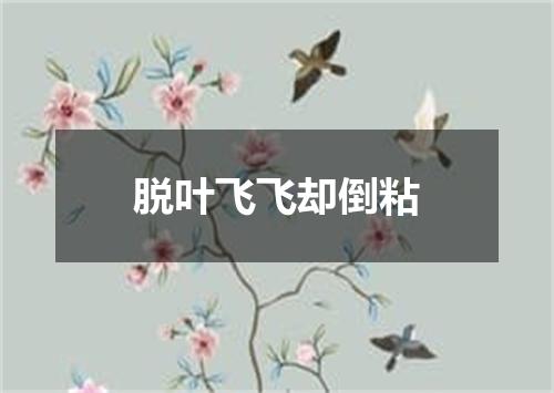 脱叶飞飞却倒粘