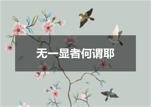 无一显者何谓耶