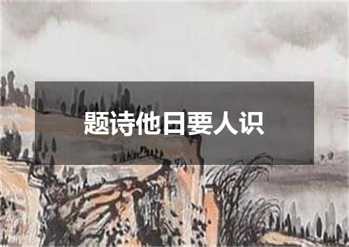 题诗他日要人识