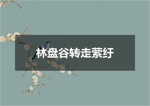 林盘谷转走萦纡